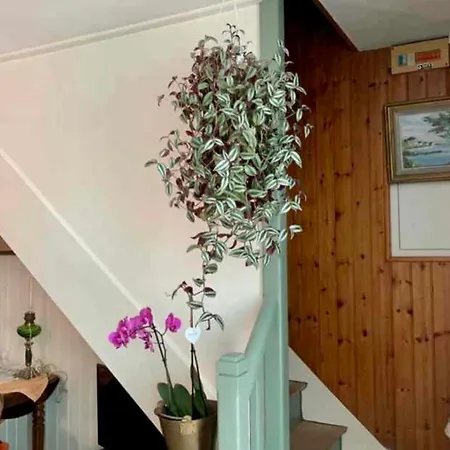 Semesterbostad Quiet House Near The Old Port - La Rochelle (Charente-Maritime)